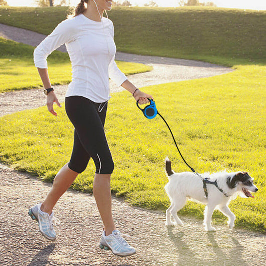 Auto Retractable Dog Collar