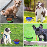 Collapsible Pet Bowls for Travel – 2 Pack Portable Dog & Cat Food & Water Bowls with Carabiners