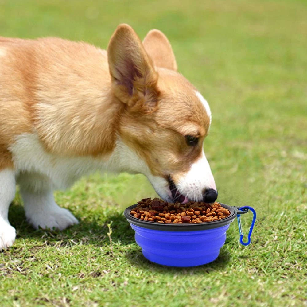Collapsible Pet Bowls for Travel – 2 Pack Portable Dog & Cat Food & Water Bowls with Carabiners